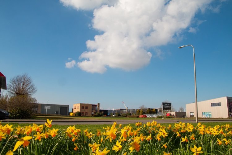 Grond De Dommel, Dronten